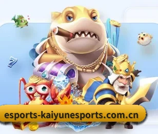 五大服务分区,信息按项目分类